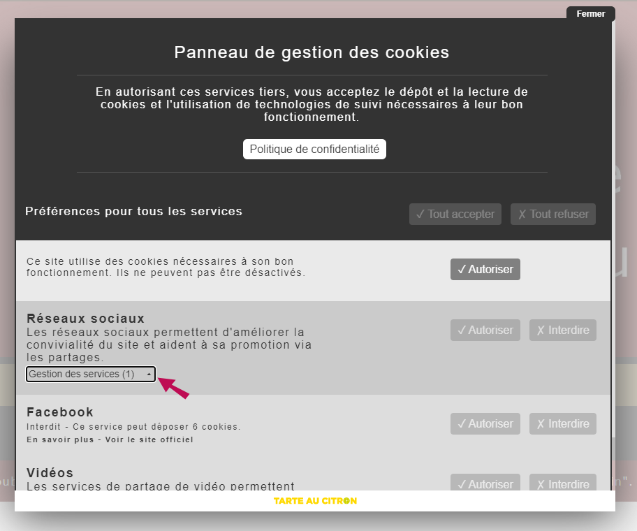 panneau_gestion_cookies_utilisateurs_FB.PNG