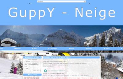 Skin classe de neige